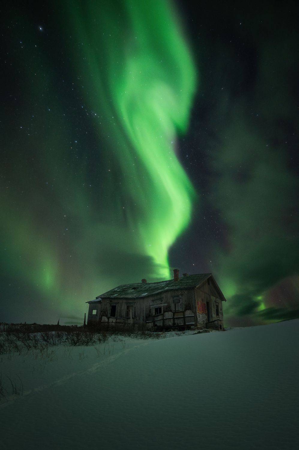 Автор: Перевозчиков Андрей , Перевозчиков Андрей