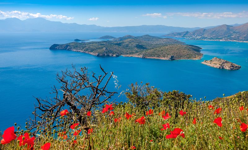 ВЕСНАphoto preview