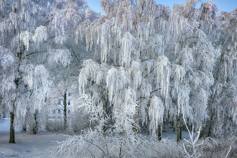 Зимний город.photo preview
