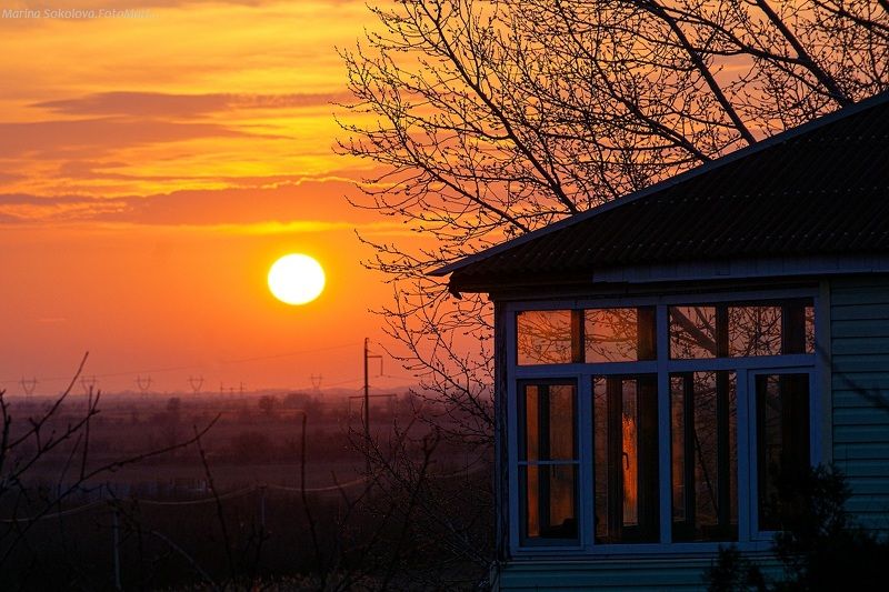 На закате.photo preview