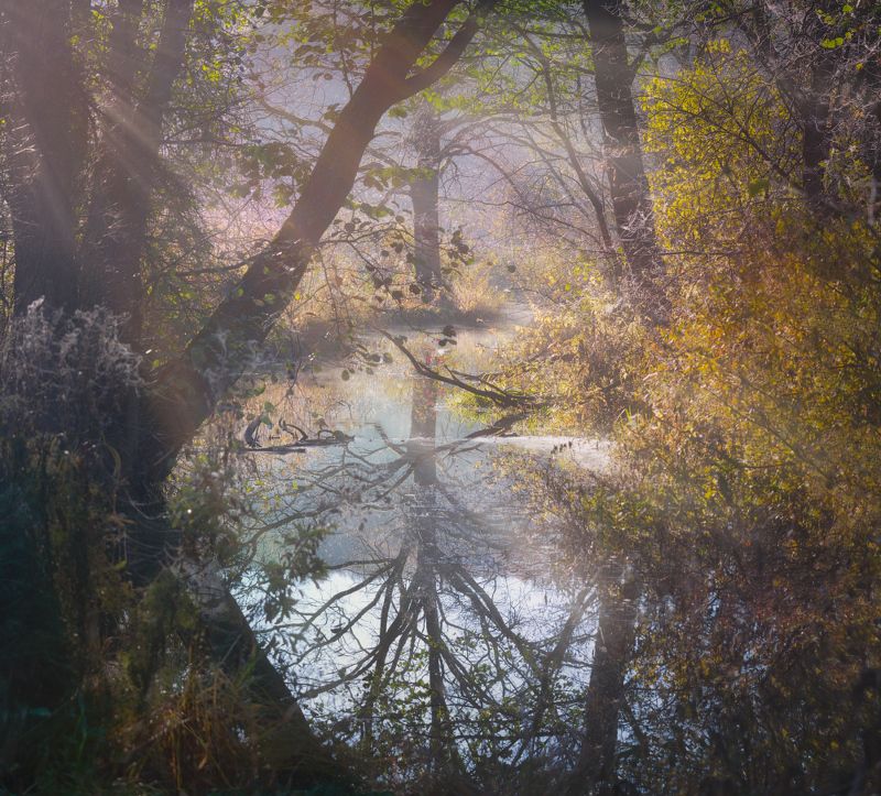 тула, воронка, ясная поляна О тихой осенней речушкеphoto preview