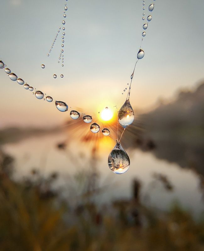 макро,паутина,лето,роса,красота бриллиантовая подвеска фото превью