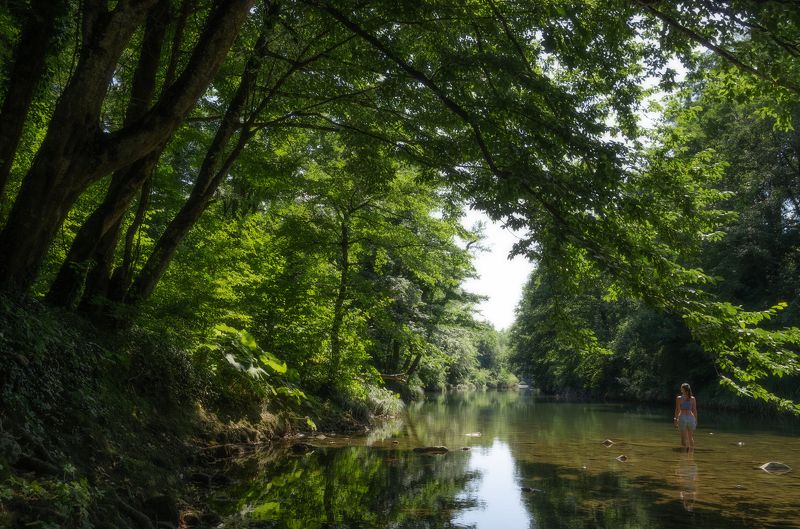 На рекеphoto preview