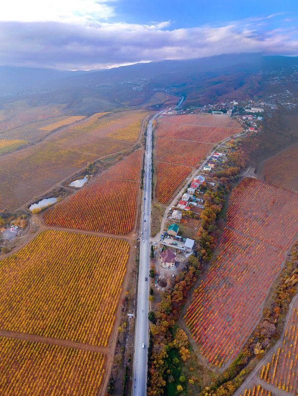 алушта, крым, осень, осень в алуште, массандра, виноградники массандры, крымская осень, пейзажи крыма Осень в Алуштеphoto preview
