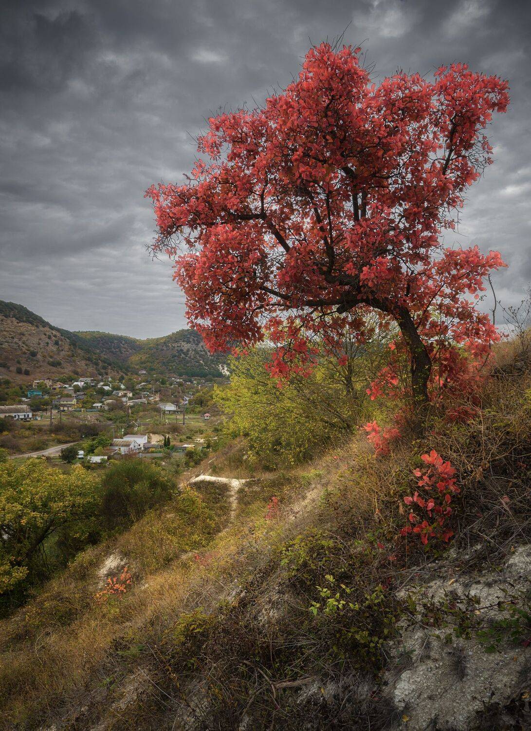 крым, осень,, Черкасов Сергей