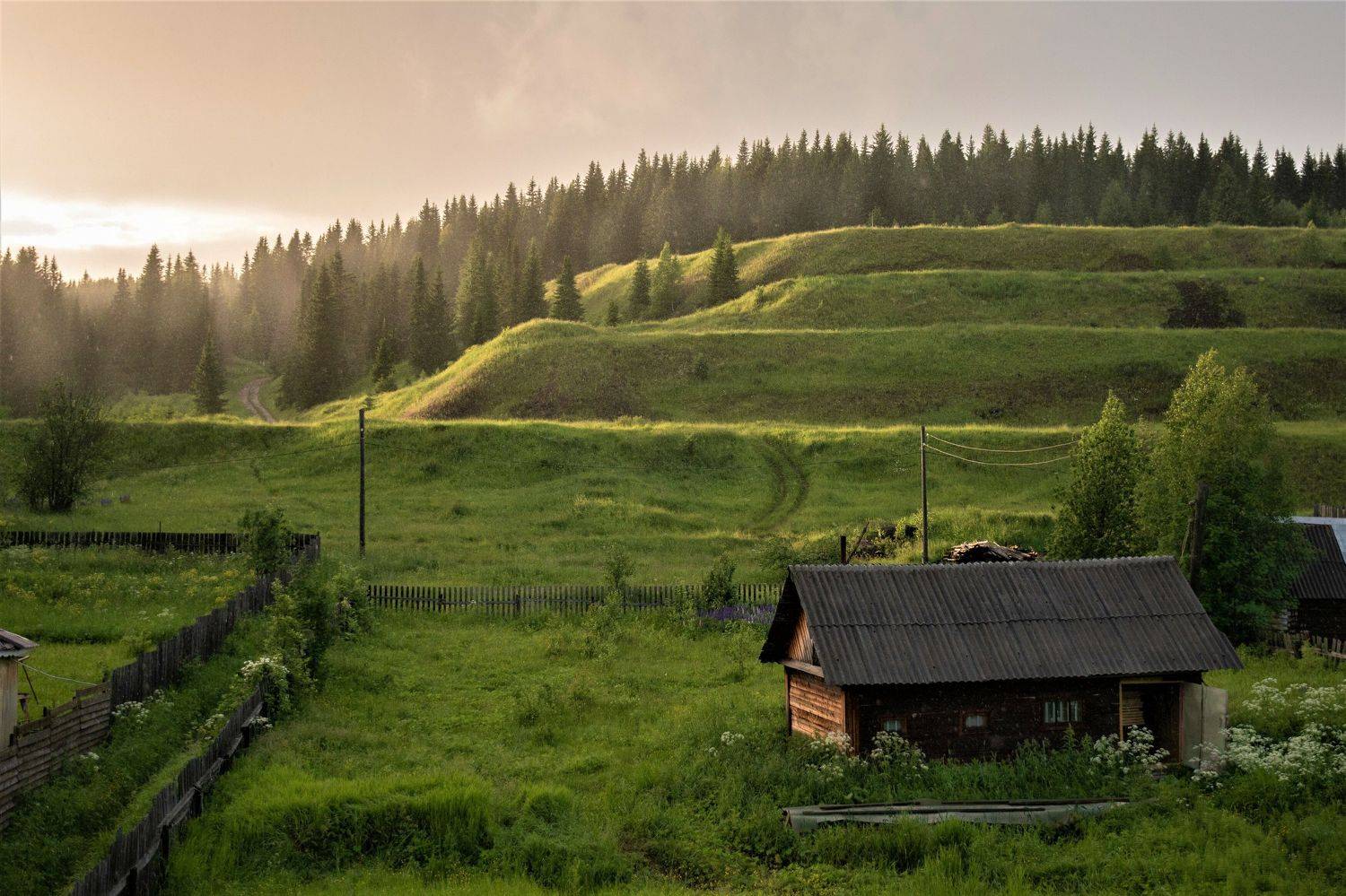 Усьва. Урал. Россия.. Автор: Рохмистрова Мария усьва урал пейзаж пермь ural russia landscape summer лето, Рохмистрова Мария