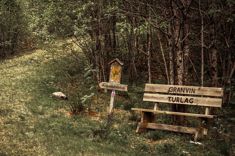 In skogenphoto preview