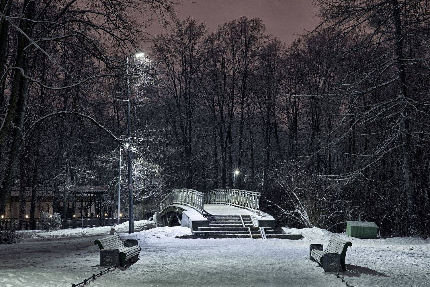 Тихий парк. Автор: Никифоров Сергей , Никифоров Сергей