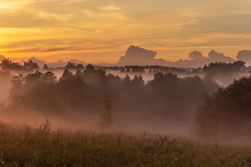 туман пейзаж природа закат Закат после дождяphoto preview