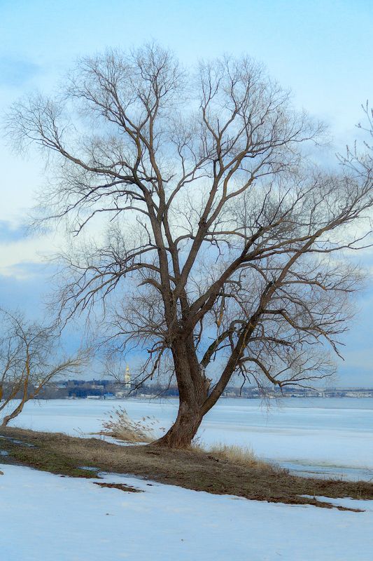 весна, волга, кострома, март, снег В оттенках тепло-голубого... )photo preview