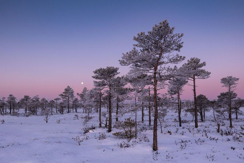 Перед рассветомphoto preview