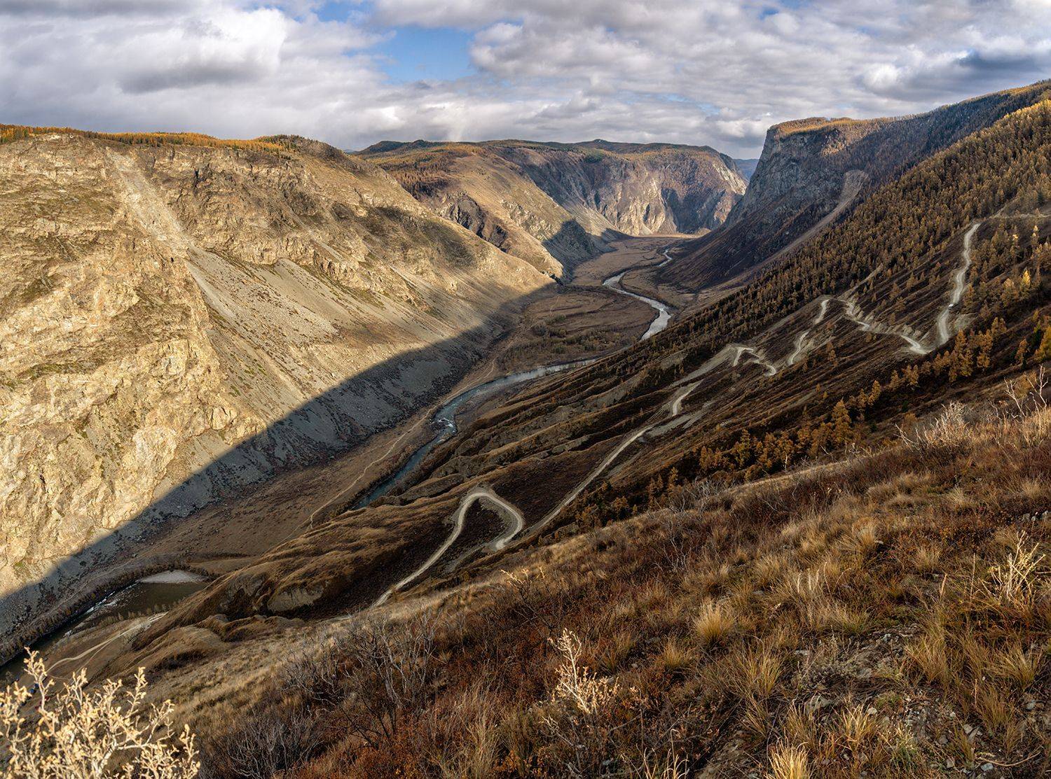 , Лариса Николаевна Дука