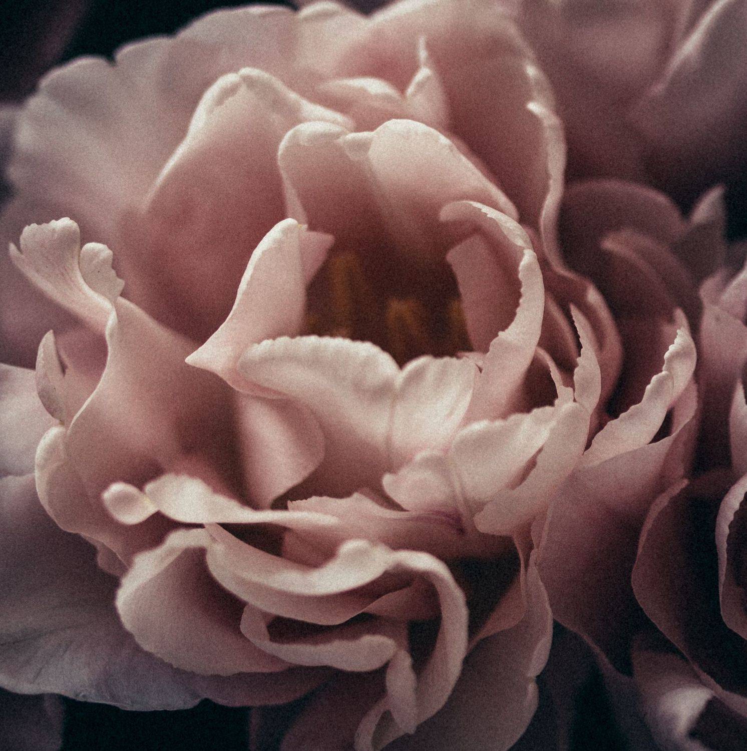 , Марина Бондарь