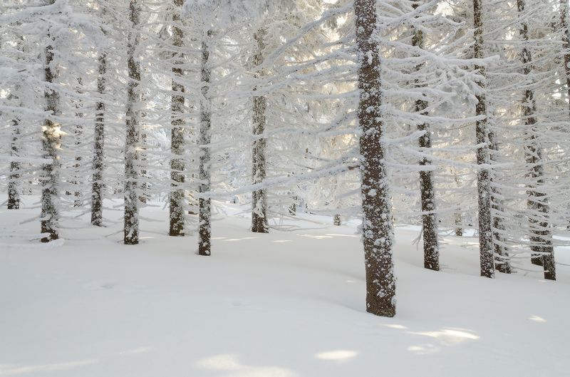 Таганай, Дальний Таганай пойманный светphoto preview