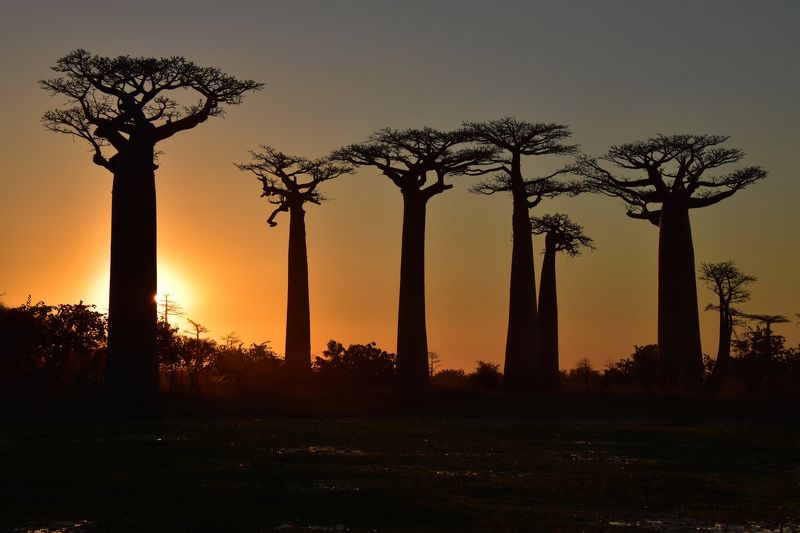 пейзаж, природа, путешествие Далекий Мадагаскарphoto preview