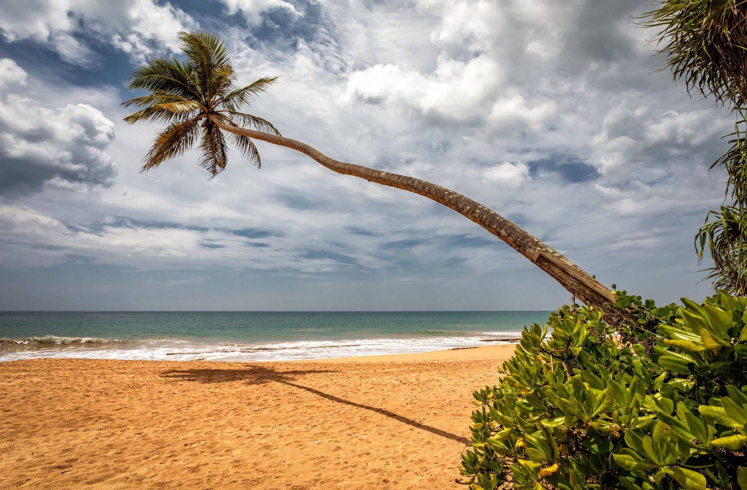 к океану. Автор: Безмолитвенный Александр , Безмолитвенный Александр