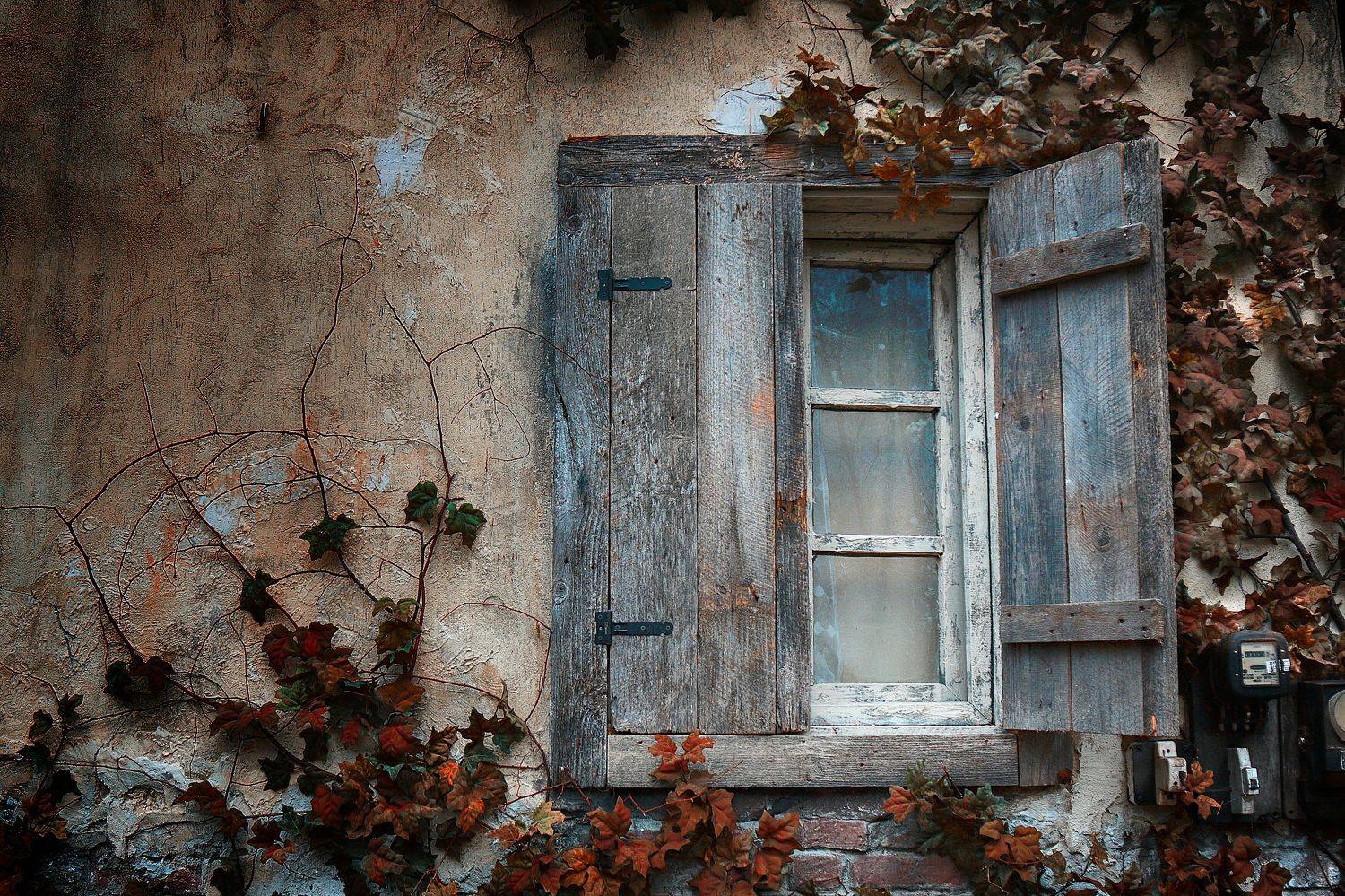 Window. Автор: Adrian Eperjessy , Adrian Eperjessy