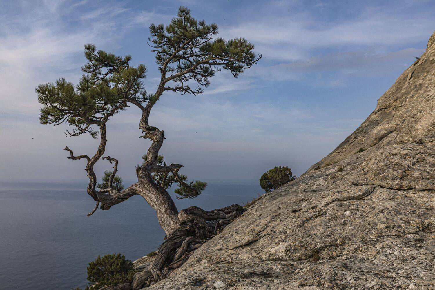 Рогатка. Автор: Сергей Крым, Сергей