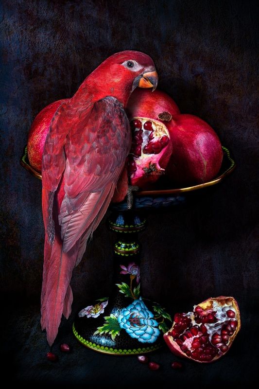 Лори Кардинал на гранатахphoto preview