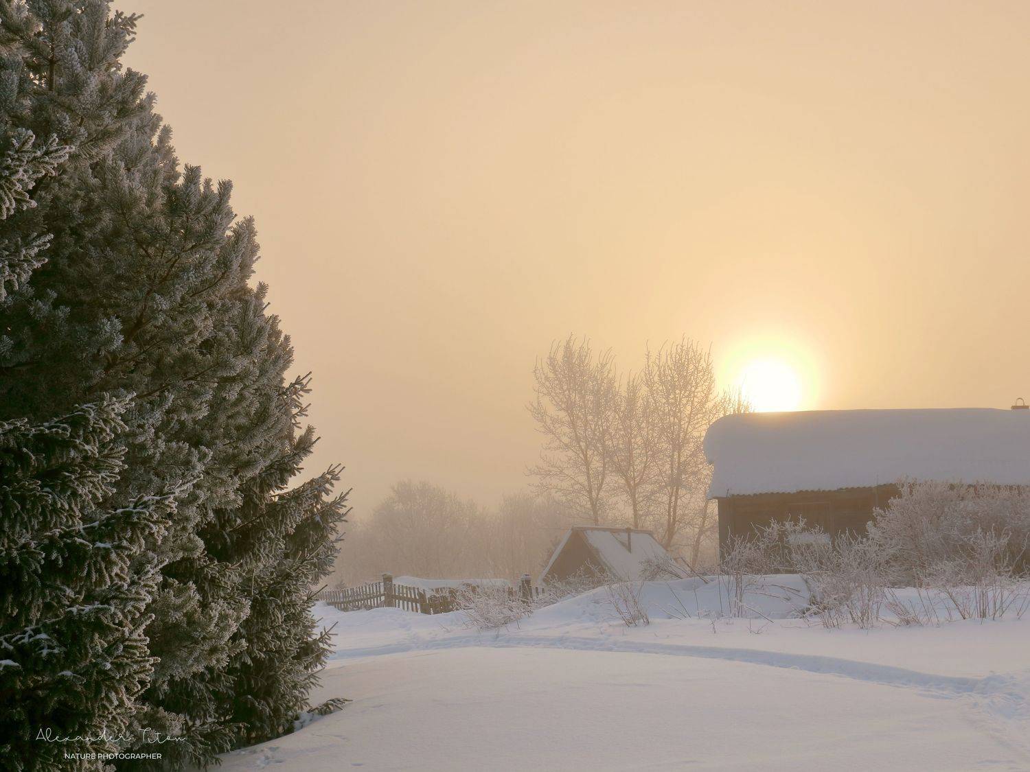 зима, туман, мороз, утро, север, Титов Александр