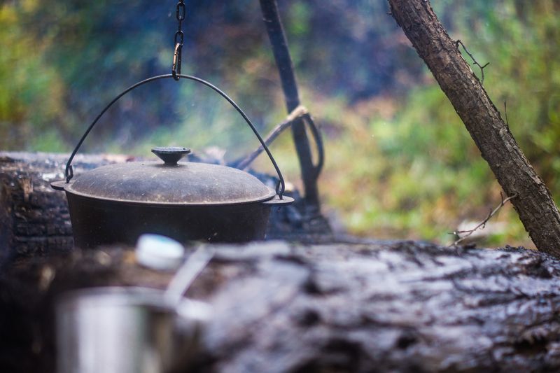 nature, forest, rain, camping photo preview