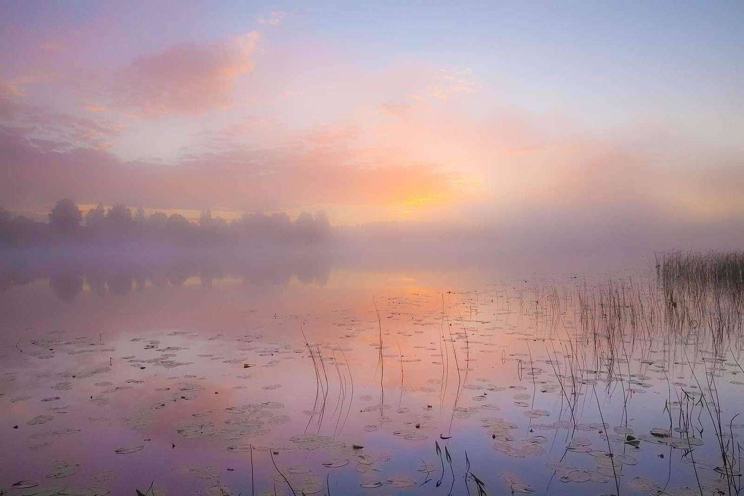 , Напалкин Станислав