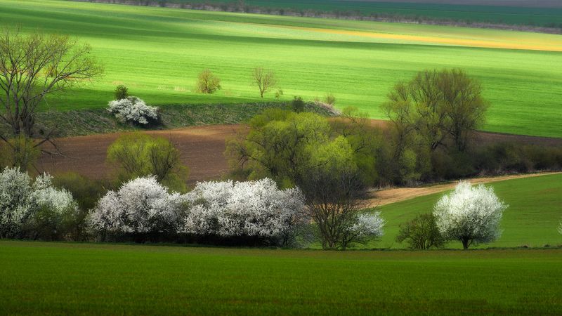 zanfoar,майский пейзаж,nikon d750,чешская республика,моравия начало маяphoto preview