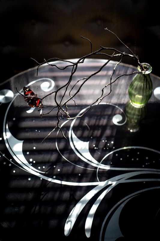 натюрморт, бабочка, крапивница, весна С бабочкойphoto preview