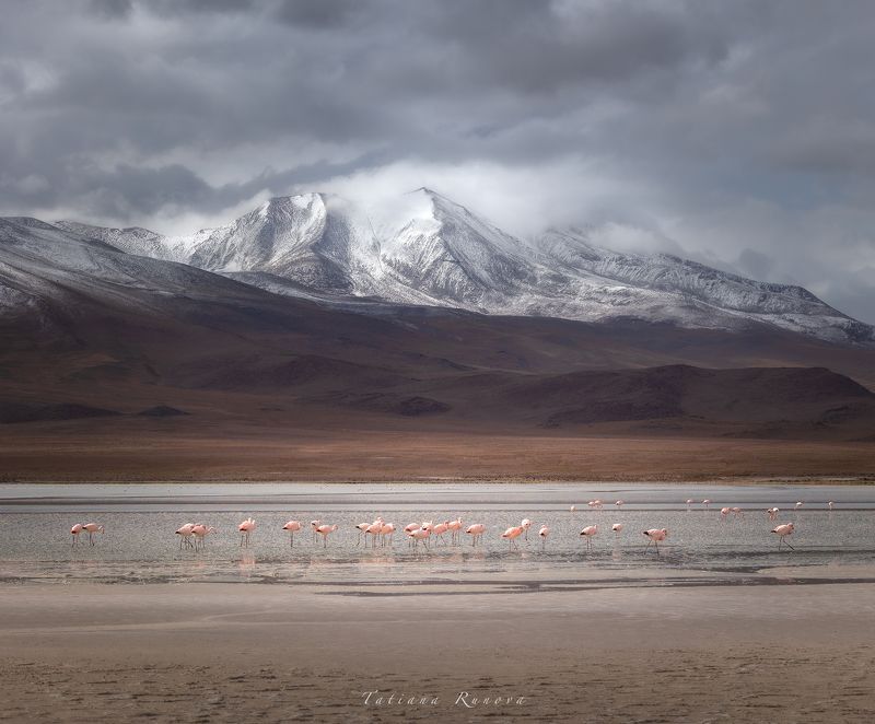 Утро на  высокогорной лагунеphoto preview