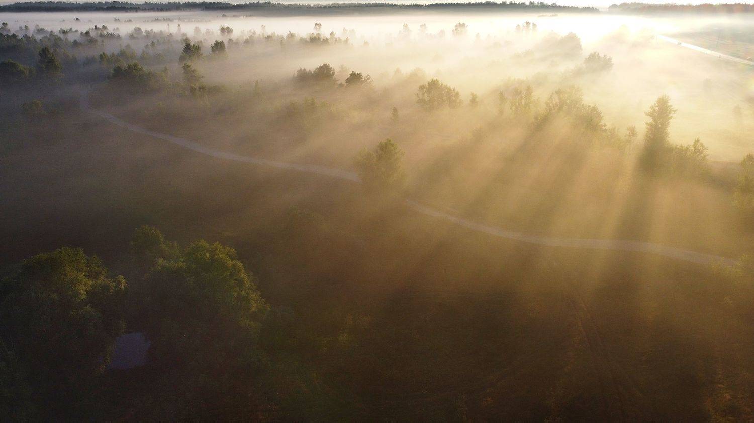 , Сергей Шляга