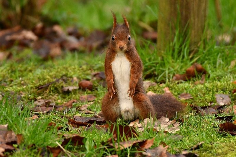 In my region.photo preview