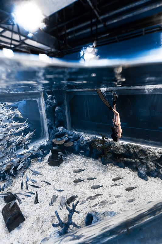 freedive Divephoto preview