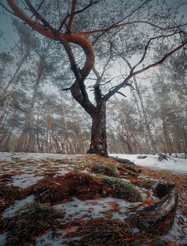 Люблинекphoto preview