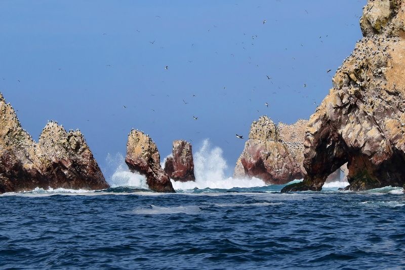 пейзаж, природа, путешествие Птичий райphoto preview