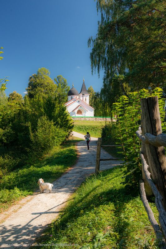 Europe, Russia, Tula region, animal, architecture, building, church, dog, nature, spaniel, temple, Бёхово, Европа, Россия, Троицы Живоначальной церковь, Тульская область, архитектура, животное, здание, природа, пёс, собака, солнечно, спаниель, храм, церко Начало осени в Бёхове (2)photo preview