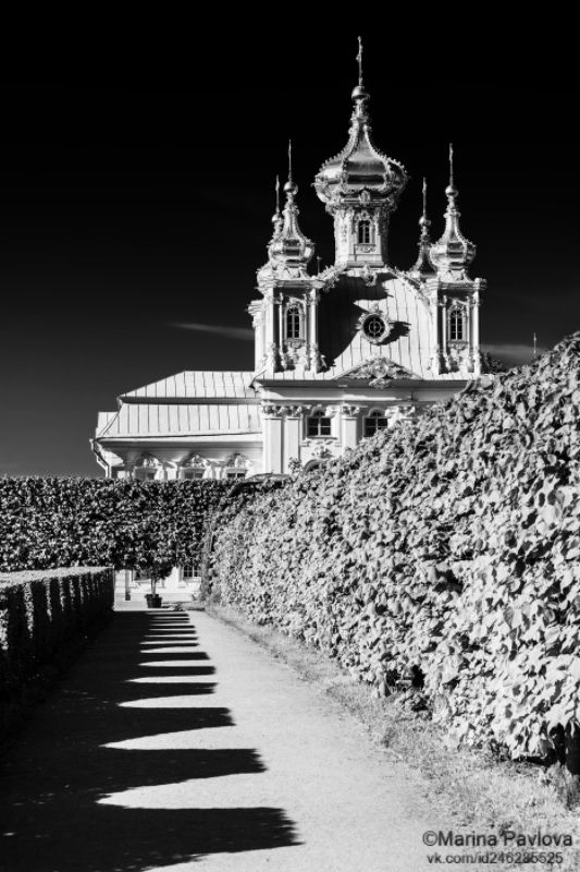 городской пейзаж, архитектура, петергоф, верхний сад, церковь петра и павла, пригороды санкт - петербурга,свет и тени, чёрно - белое фото, чбфото, чёрно - белая магия весеннего петергофа, nikon Чёрно-белая магия весеннего Петергофа...photo preview