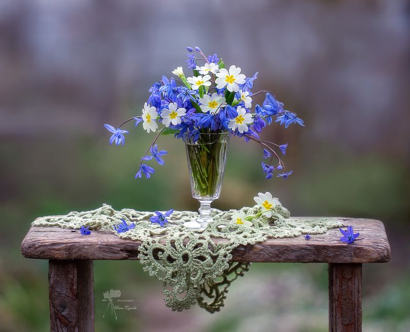 Первые...photo preview