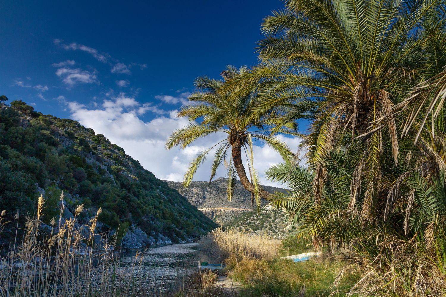 Andriake beach. Автор: Слащилина Нина Демре, Турция, Пляж, море, пейзаж, река, пальма demre, turkey, andriake, Слащилина Нина