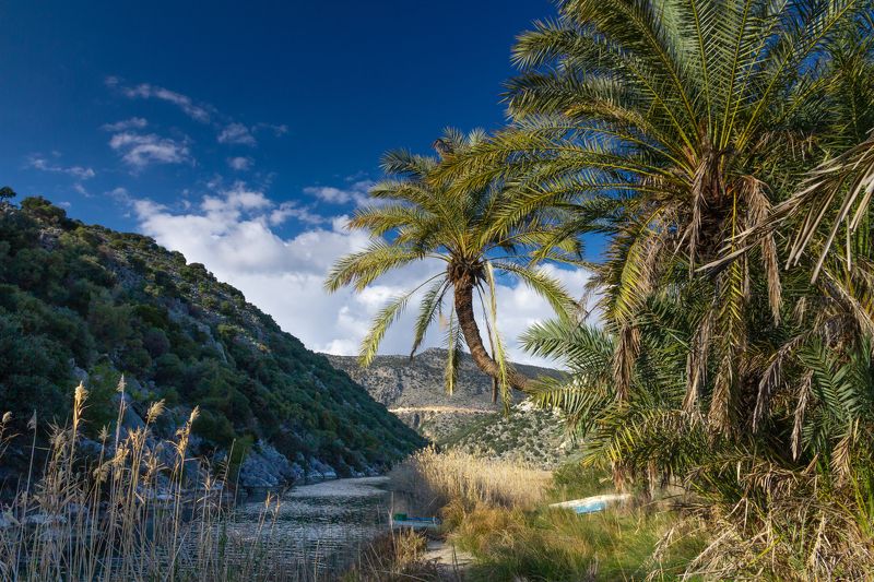 Демре, Турция, Пляж, море, пейзаж, река, пальма demre, turkey, andriake Andriake beachphoto preview