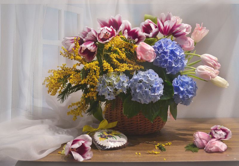 still life, натюрморт, цветы, фото натюрморт, весна, март, тюльпаны,  мимозы, настроение, гортензия Дарите женщинам цветы...photo preview