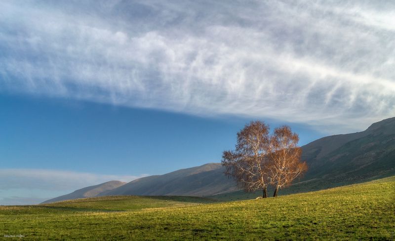 оренбургская область, осень, природа, хребет сарбай Берёзкиphoto preview