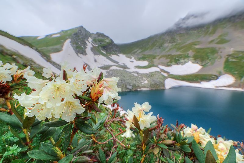 Затерянные в горахphoto preview