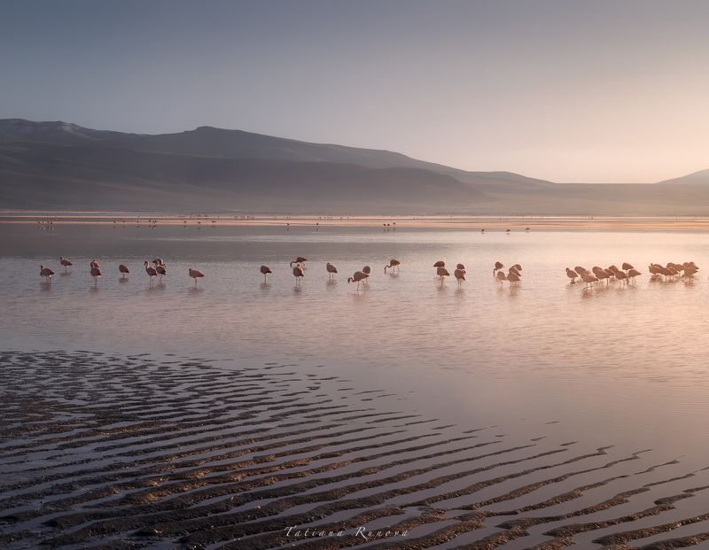 Рассвет на Лагуне Колорадаphoto preview