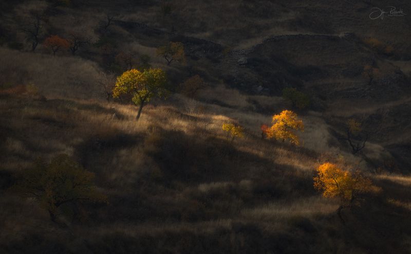 кавказ, дагестан,осень, светотени, природа, пейзаж, телевик, tamron150-600 Осенние светотени фото превью