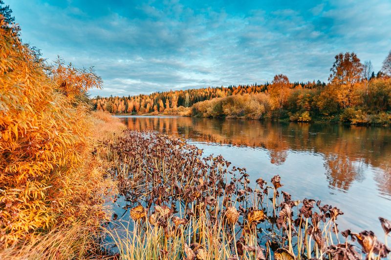 пейзаж, река, север ***photo preview