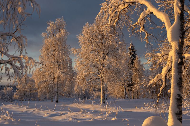 север, кольский, заполярье, photo preview