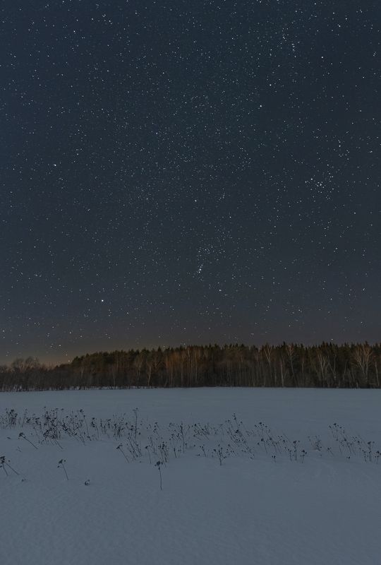 ночь звезды созвездие орион зима деревня снег сириус венера Звёздная ночь за городомphoto preview
