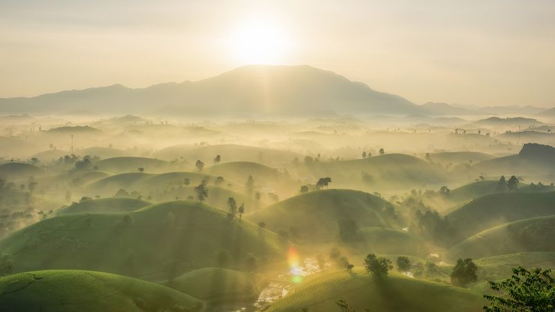 Landscape photophoto preview