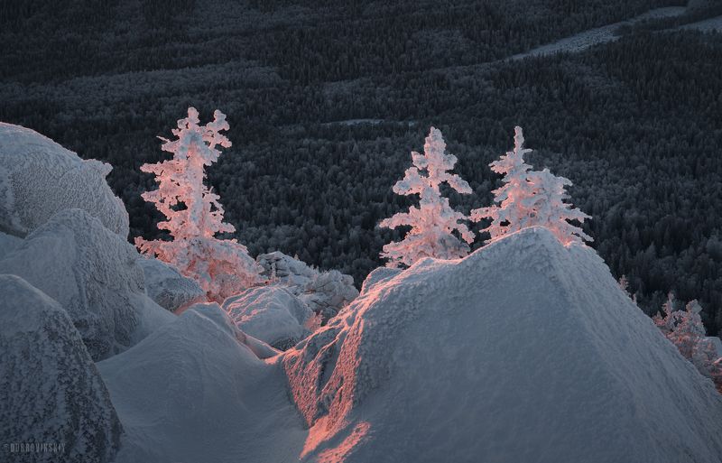 таганай, южный урал, елки, рассвет, иней, снег, зима Три сестрыphoto preview