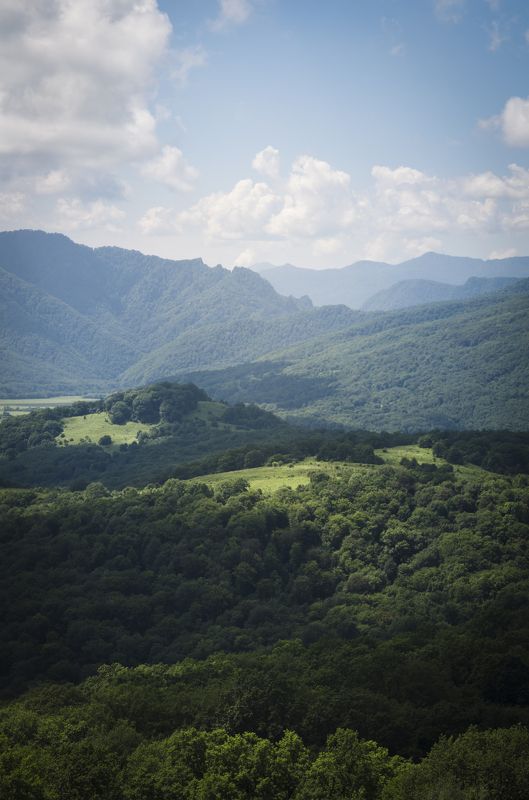 Трезубецphoto preview